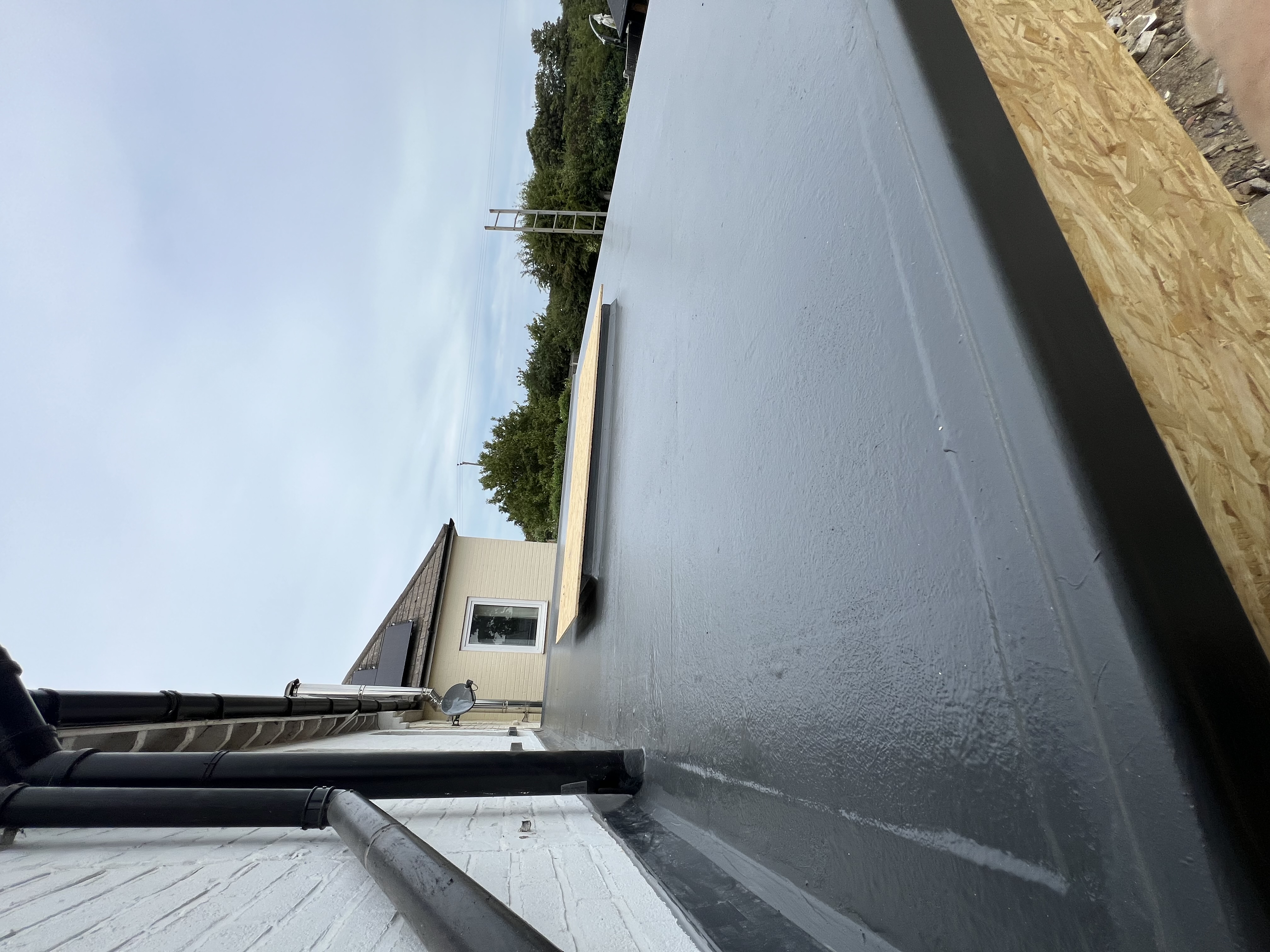 Rear Extension - Manston — photo 6